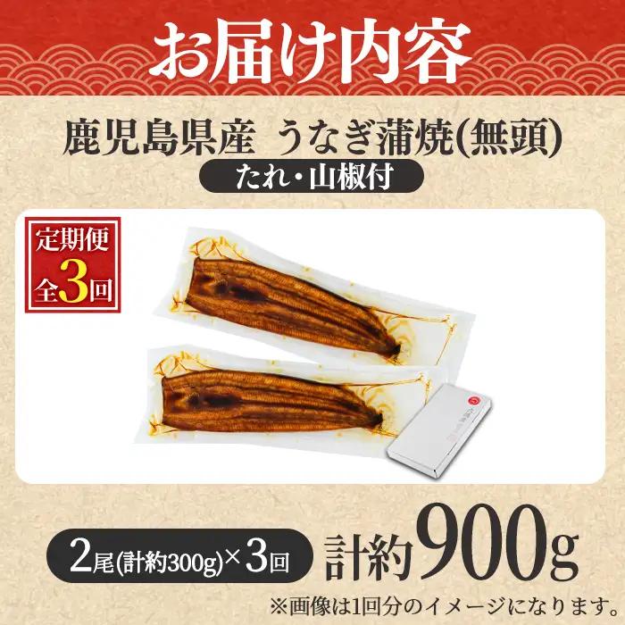 ＜定期便・全3回＞東串良町 うなぎ 蒲焼 (無頭)(2尾・計約300g・タレ、山椒付×3回) 高級 ウナギ 鰻 国産 たれ 鹿児島 ふるさと 人気【アクアおおすみ】【0304303b】