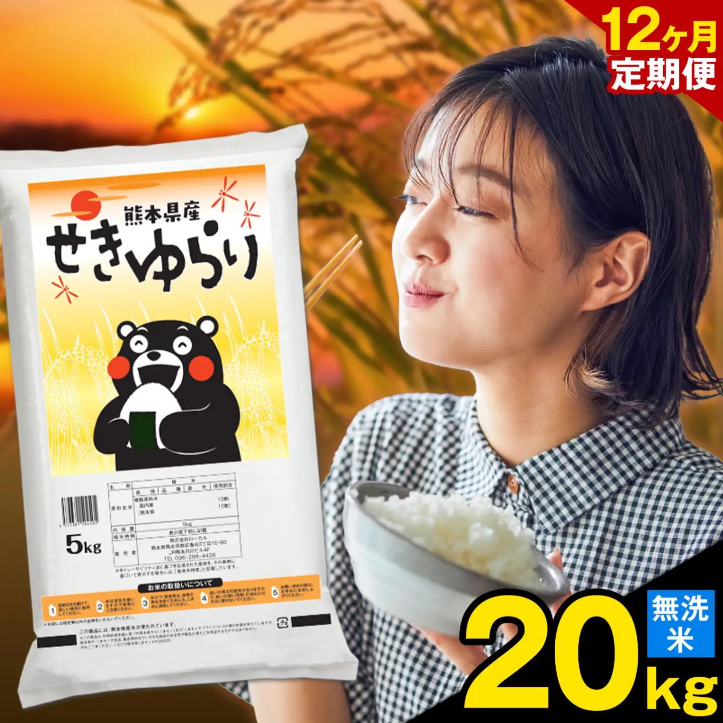 無洗米 せきゆらり 20kg 12ヶ月 定期便 熊本県産 国産 無洗