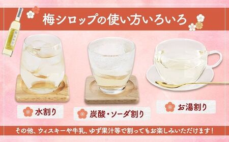 大河原町観光物産協会　特産品Fセット 梅シロップ ゆず 唐辛子 ぽん酢 しょうゆ 田楽みそ 加工食品 調味料 ポン酢 醤油 とうがらし 田楽 みそ 味噌 薬味 味付け 田楽味噌