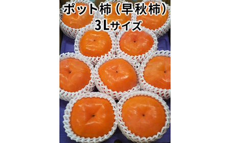 こだわり栽培ポット柿（早秋柿）3Lサイズ9個入り ｜柿 柿 柿 柿 柿 柿  ※離島への配送不可 ※2025年10月中旬～11月上旬頃に順次発送予定