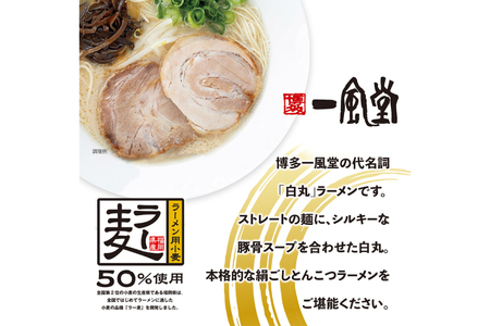 一風堂 博多 とんこつラーメン 白丸 12食 豚骨ラーメン