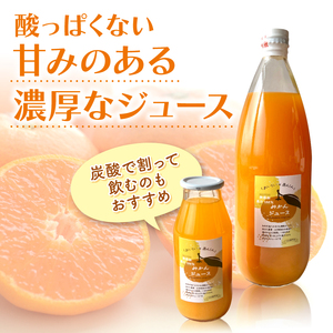 果汁100％ みかん ジュース 1000ml × 6本 無農薬 無添加 濃厚 みかん ジュース 炭酸 清涼飲料水 炭酸ジュース ジュース