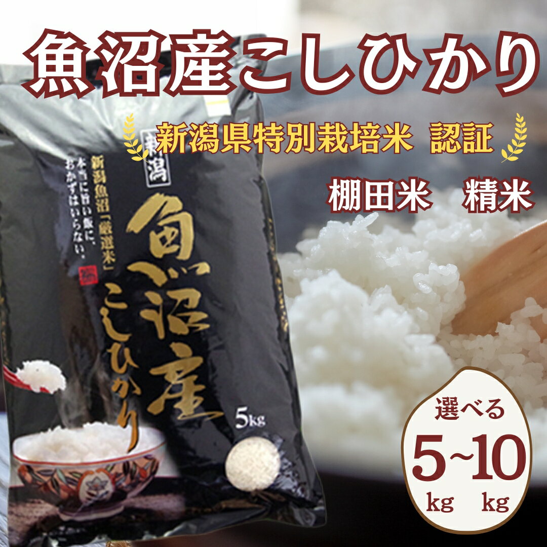 【ふるさと納税】令和7年産/令和8年産魚沼産コシヒカリ棚田米 白米 選べる産年・容量 5kg 10kg 佐藤農場 | 新潟県産 コシヒカリ お米 米 おこめ こめ コメ こしひかり 白米 精米 魚沼産 ブランド米 産地直送 【0018-sn00sv00-01】
