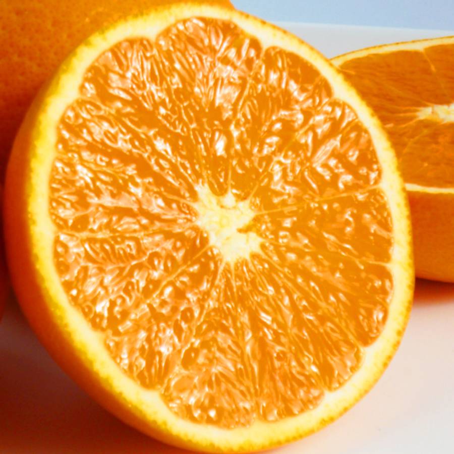 ＜魚鶴＞「有田清見オレンジ」2.5kg