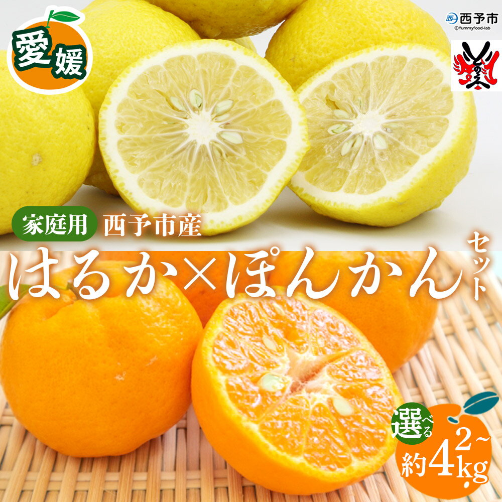【ふるさと納税】＜愛媛西予市産 はるか・ぽんかんセット 家庭用 約2kg/約4kg＞ 選べる内容量 柑橘 果物 フルーツ ポンカン ミカン みかん オレンジ 特産品 渡江から一歩を踏み出す会 食べて応援 特産品 愛媛県 西予市 【常温】『2026年3月以降順次出荷予定』