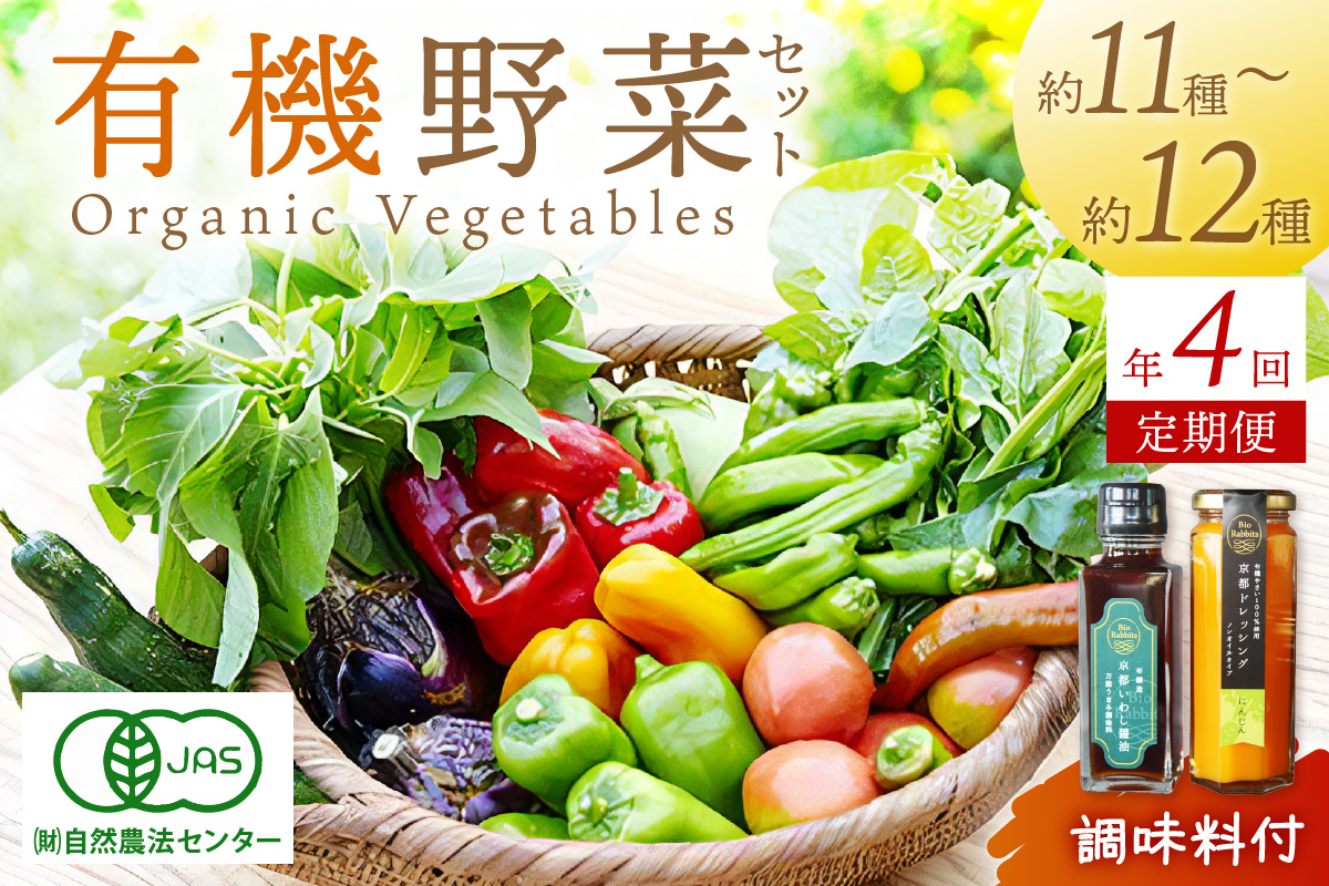 【年4回定期便】＜てんとうむしばたけ＞オーガニック野菜&調味料セット　有機野菜11～12種(4人用)＆調味料2種