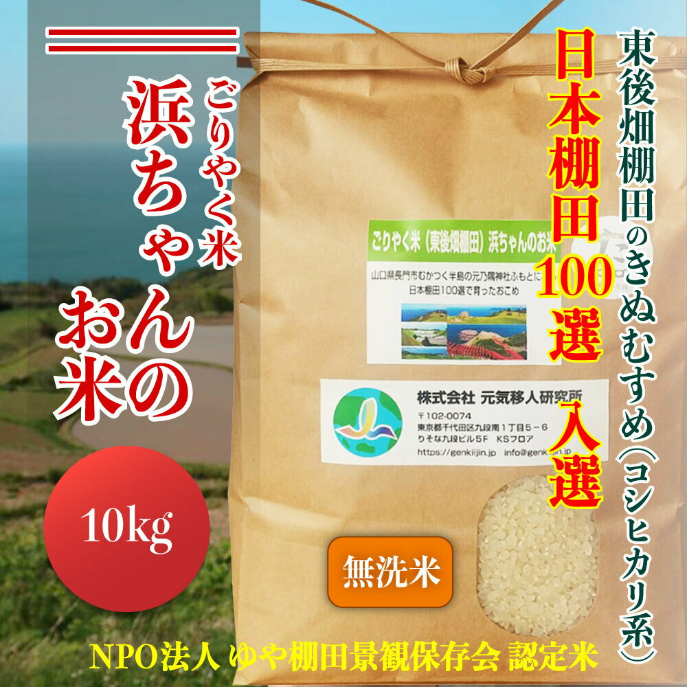 【ふるさと納税】【予約受付】令和7年度産 浜ちゃんのお米 東後畑棚田 きぬむすめ 無洗米 1ぶづき米 10kg 棚田米 長門市 発送10月上旬から [1359]