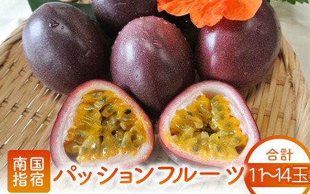 パッションフルーツ11玉～14玉(マンゴーの森/A-219) 鹿児島 国産 指宿市 トロピカルフルーツ 南国フルーツ 果実 果肉 果物 ビタミン 農家直送  パッションフルーツ パッションフルーツジュース