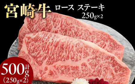 宮崎牛ロースステーキ 250g×2 計500g N0147-YB725