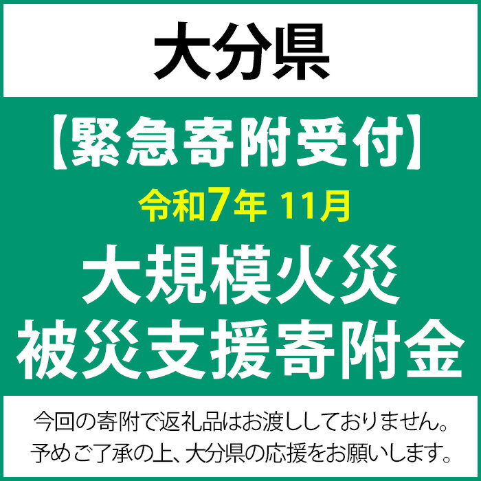 【ふるさと納税】【令和7年11月大規模火災被災支援緊急寄附受付】大分県災害応援寄附金（返礼品はありません）