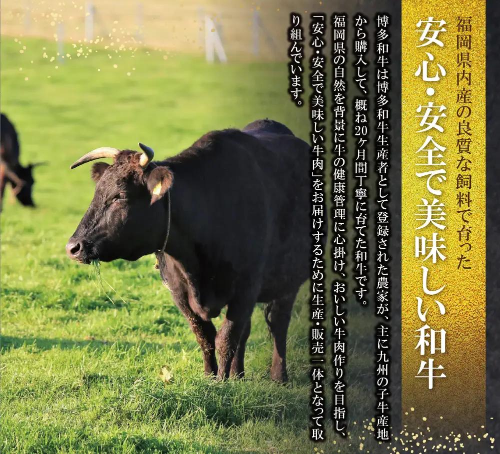 Z09-05 寄附額改定↓↓ 博多和牛 肩ロース焼肉用400g 和牛
