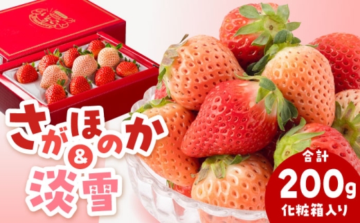 【農家直送】淡雪＆さがほのか 赤白いちごセット計200g（化粧箱入り） 【岸川農園】 いちご 苺 イチゴ さがほのか あわゆき 淡雪 淡雪いちご しろいちご 白苺 しろ 白 食べ比べ フルーツ 果物 甘い あまい  アフター対応 アフターフォロー 期間限定 産地直送 国産 佐賀県産 さがいちご 九州 佐賀県 白石町  白石 [IAP031]