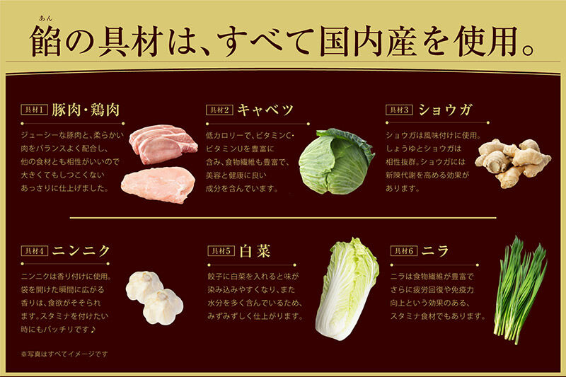 大阪王将 羽根つきチーズぎょうざ 12袋セット [餃子 冷凍 大阪王将 肉 おかず 夕飯 お弁当]