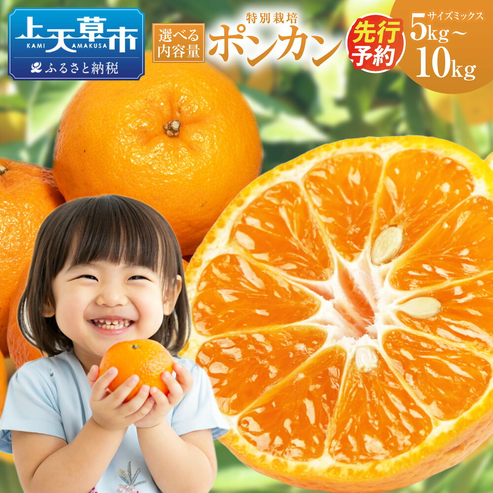 【ふるさと納税】＜ R8年熊本地震復興支援 ＞ 【選べる容量】【先行受付】特別栽培ポンカン 約5kg / 8kg / 10kg サイズミックス ポンカン ぽんかん 国産 上天草市産 熊本県産 果物 フルーツ くだもの 果物 果実 蜜柑 柑橘 デザート【2027年1月上旬～2月下旬発送予定】