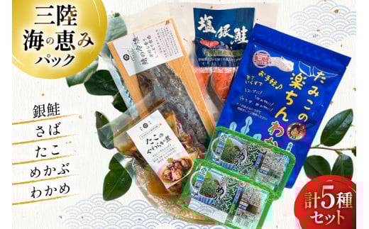 海鮮 詰め合わせ 三陸 海の恵み 5種 セット [たみこの海パック 宮城県 南三陸町 30ae0033] 海鮮セット 魚介 魚介類 魚 海藻 藻 鮭 銀鮭 しゃけ 酒 さけ サバ 鯖 さば たこ わか