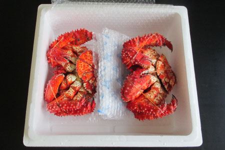 【北海道根室産】花咲かに(メス)700～800g×2尾 B-19001