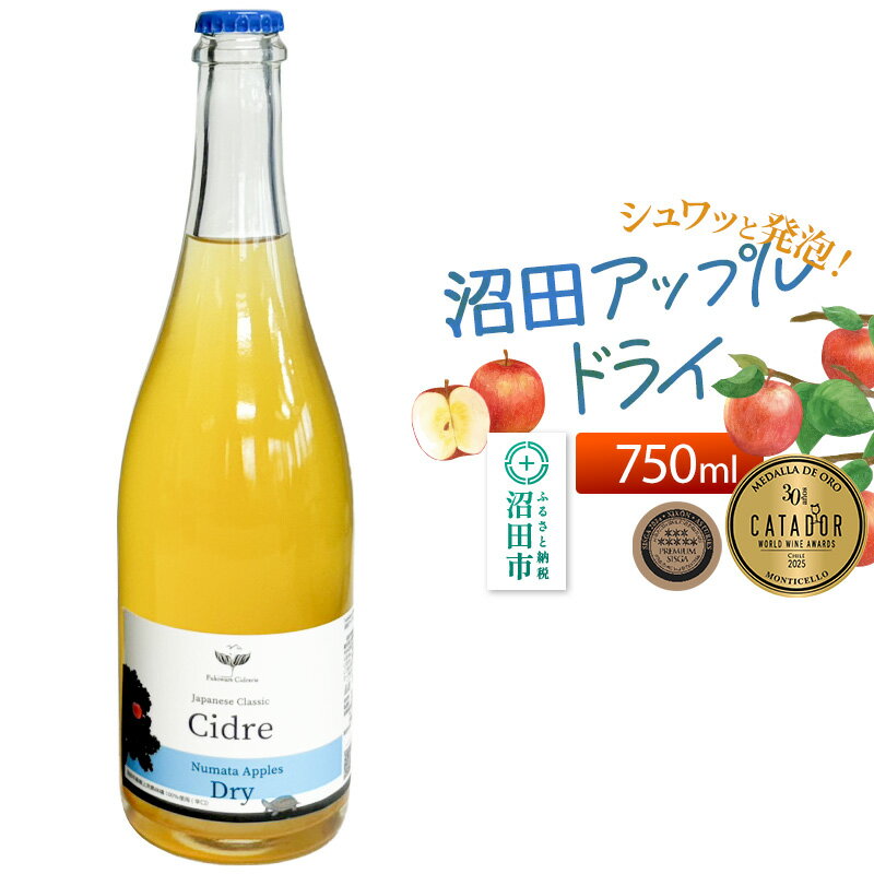 【ふるさと納税】《SISGA部門最高賞ほか受賞》沼田アップルドライ（辛口）750ml×1本 Fukiware Cidrerie [林檎 りんご リンゴ 発泡 スパークリング 酒]