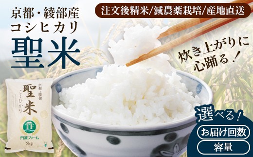 
                  《選べるお届け回数》【定期便】京都府産 コシヒカリ「聖米」 白米 5kg/10kg 令和7年度産 （ 3回 / 6回 ）【 お米 米 白米 精米 こしひかり 国産 選べる 定期便 毎月発送 京都 綾部 】
                