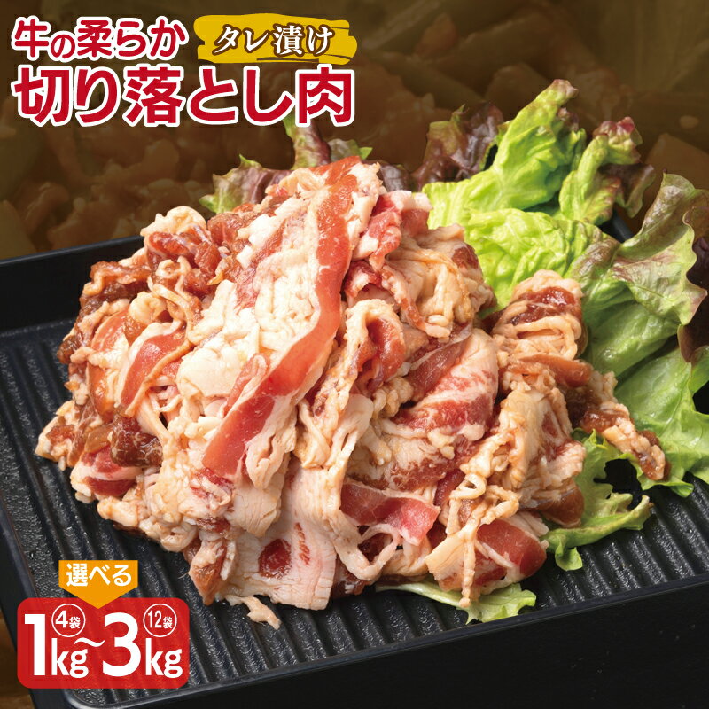 【ふるさと納税】牛肉 カルビ 切り落とし タレ漬け 合計 1kg / 1.5kg / 2kg / 2.5kg / 3kg 味付け 小分け 焼くだけ 簡単調理 牛 肉 お肉 生姜醤油 特製タレ 便利 おかず ご飯のお供 お取り寄せ お取り寄せグルメ 大阪府 泉佐野市 送料無料 肉の泉佐野