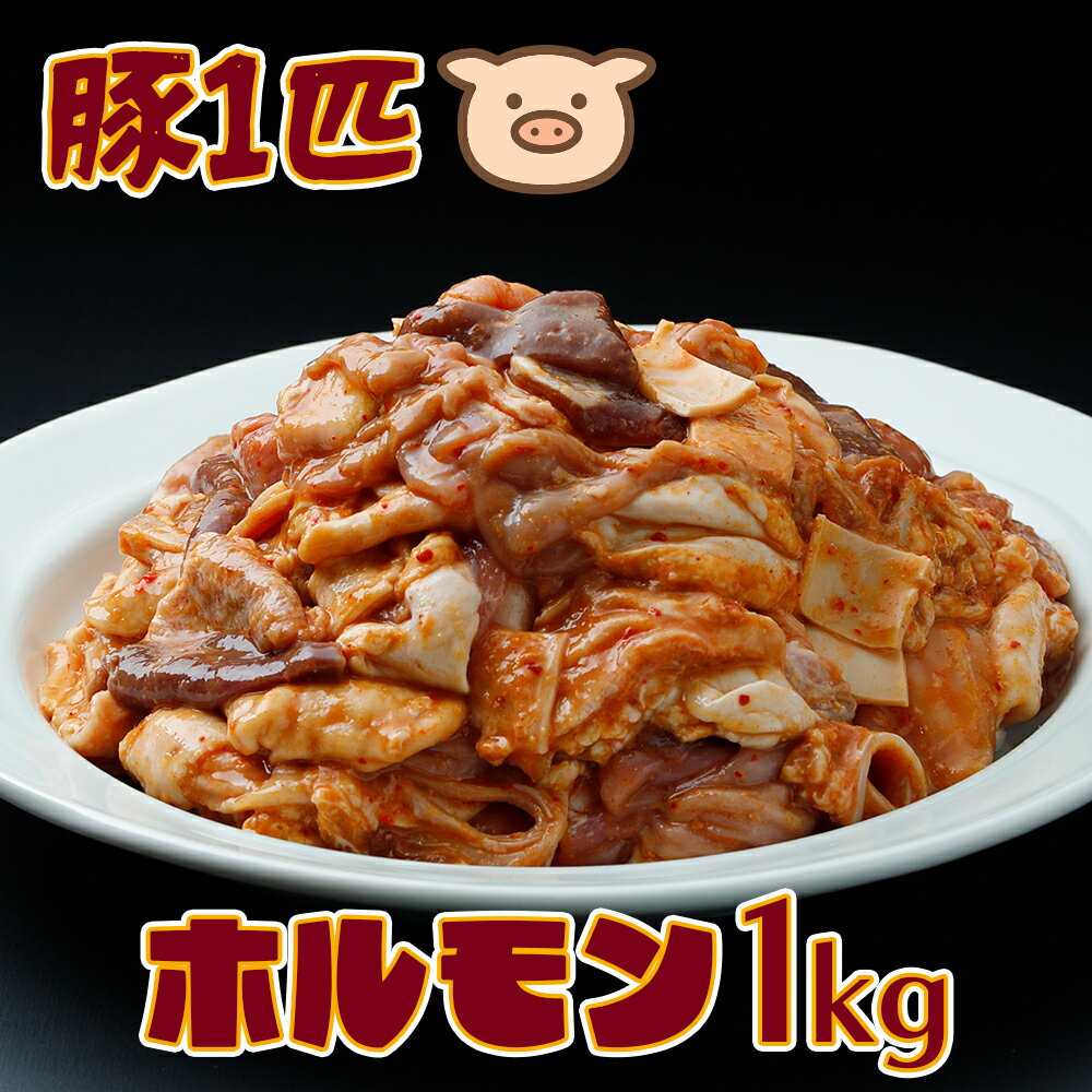 【ふるさと納税】生産者イチオシの逸品！豚一匹ホルモン1kgセット｜希少部位10種以上ミックス・新鮮直送