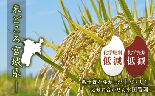 【2025年産新米予約】ひとめぼれ（精米）5kg【数量限定】