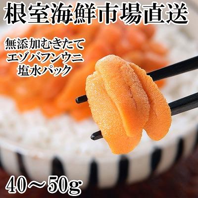 ふるさと納税 根室市 エゾバフンウニ(赤系)塩水パック40〜50g×1P[2026年1月中旬以降発送] G-11069
