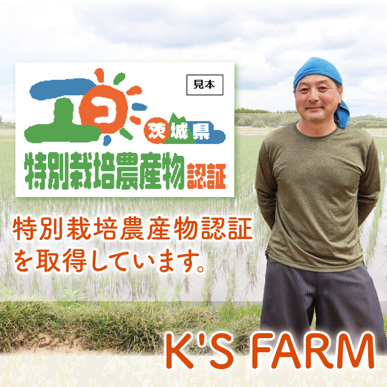 令和7年産 特別栽培農産物認証 コシヒカリ 精米 ５kg 特栽米 ネオニコフリー 減農薬 減化学肥料 安心 安全 こしひかり 白米 弁当 おにぎり オニギリ 有機肥料 特別栽培米 エコ農産物 茨城県産