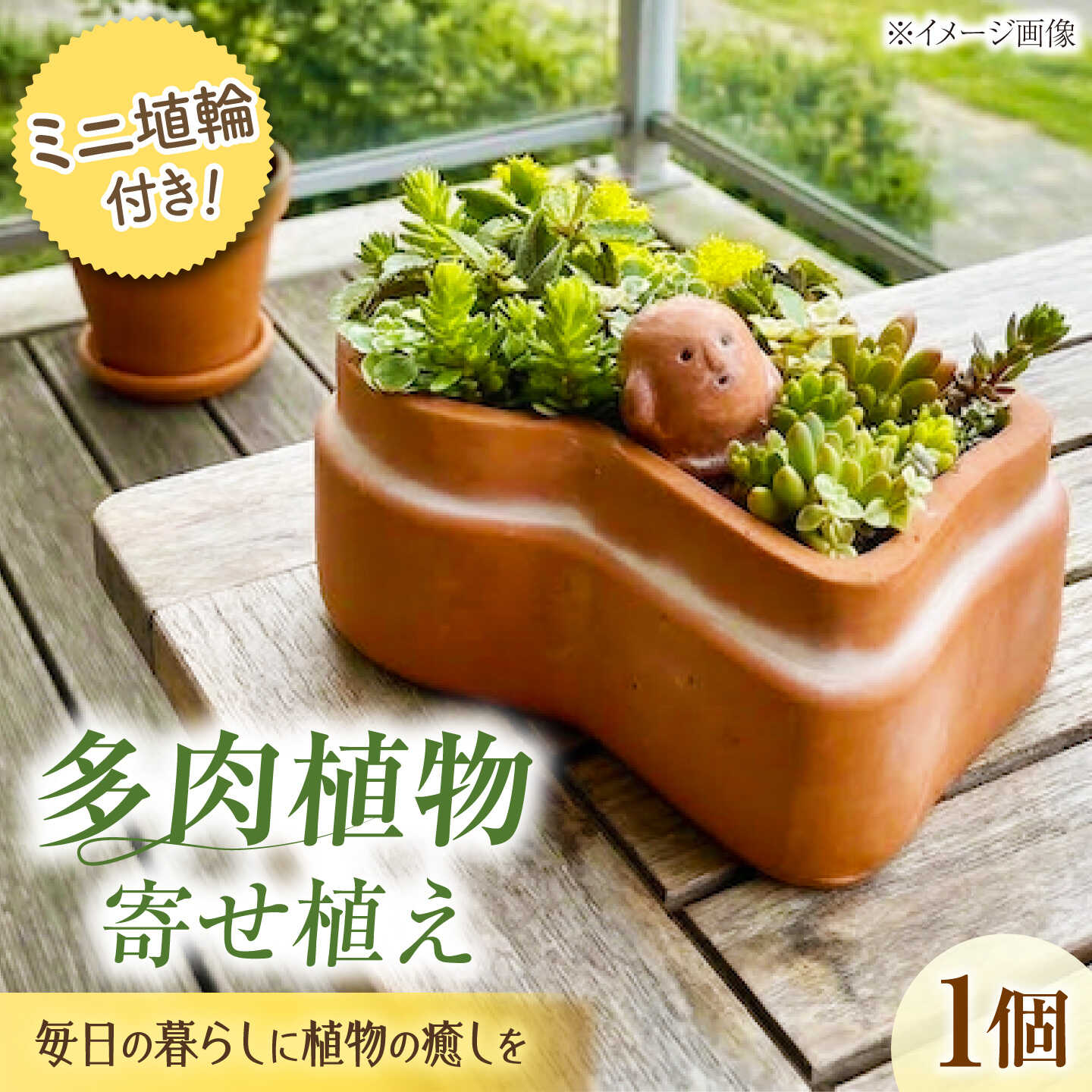 【ふるさと納税】多肉植物 寄せ植え 前方後円墳型 / 鉢植え テラコッタ 埴輪カラー 園芸 ガーデニング ギフト プレゼント お取り寄せ 国産 贈答 送料無料 ご当地 インテリア おしゃれ 観葉植物 花 大阪名産 こだわり品 / 大阪府藤井寺市/JamFlowerSalon[BLAW008]