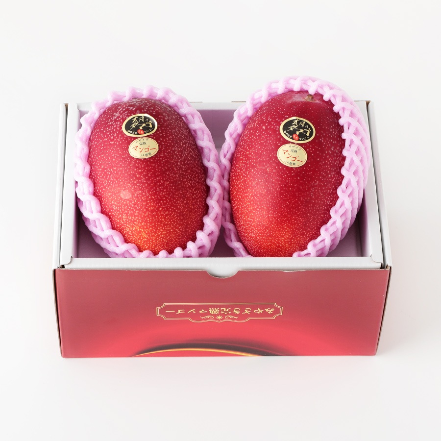 【宮崎県産マンゴー】太陽のタマゴ (4Lサイズ×2玉)