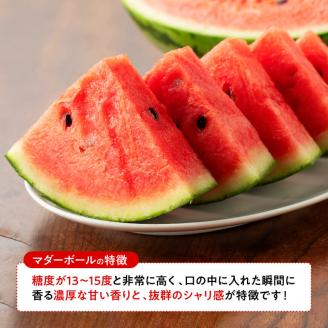 九州産すいか 小玉スイカ「マダーボール」２玉 【 数量限定 国産 宮崎県産 西瓜 フルーツ 果物 】[E10702]