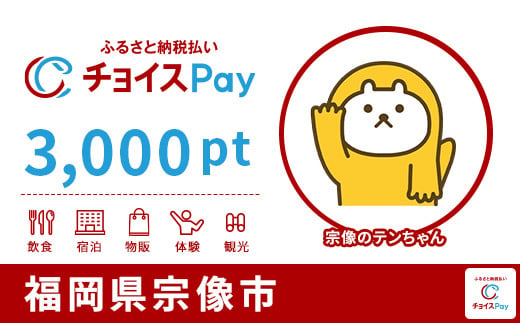 
宗像市チョイスPay 3,000pt（1pt＝1円）_HA1559【会員限定のお礼の品】
