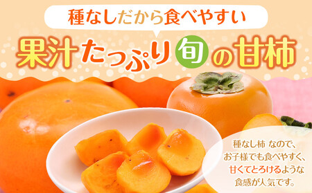 【2025年9月下旬以降発送】 和歌山県産 平核無柿 ご家庭用 約3kg 満杯詰  柿 種無し たねなし ひらたね 訳あり