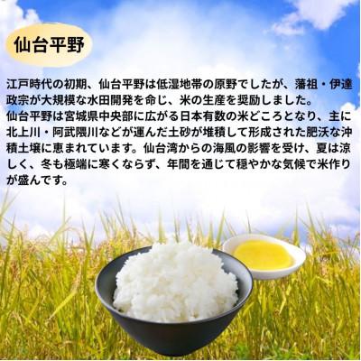 ふるさと納税 宮城県 【令和7年産】宮城県産　つや姫 5kg |  | 01