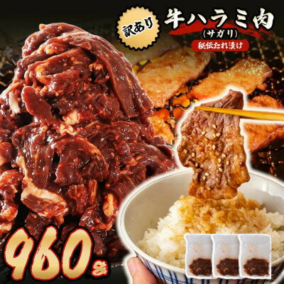 【ふるさと納税】秘伝たれ漬け 訳あり 柔らか牛ハラミ(サガリ)肉 味付け合計960g/1.6kg/3.2kg【配送不可地域：離島】【G1600579】