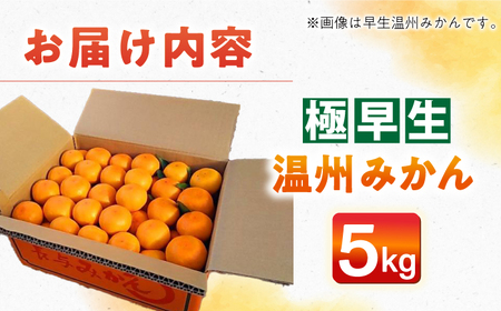 【自然の力を活かした栽培】温州みかん（極早生） 5kg -2025年10月下旬より発送- 農事組合法人希望種（きぼうのたね）[ECQ001]  みかん ミカン 柑橘 温州みかん 果物 くだもの フルー