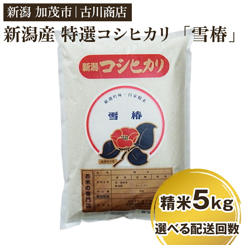 【ふるさと納税】【令和6年産米】 新潟県産 特選コシヒカリ「雪椿」精米5kg 選べる配送回数（通常配送1回〜定期便12回） 白米 加茂市 お米の専門店 古川商店