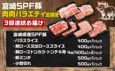 ≪3回連続お届け≫「宮崎SPF豚」肉肉バラエティ2.6kgセット_T45-3-K902_(都城市) 小間切れ 肩ローススライス バラスライス とんかつ ひき肉 宮崎県産 定期便