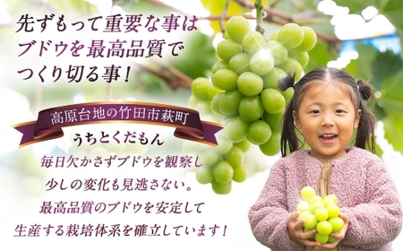 【 うちとくだもん 】 のシャインマスカットとニューピオーネ 2種セット 各1房 計2房 約1kg 【 2026年10月上旬～11月下旬まで順次発送予定 】