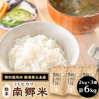 ふるさと納税 五泉市 【毎月定期便】《3回定期便》特別栽培米コシヒカリ100%「南郷米」精米 6kg(2kg×3袋)全3回