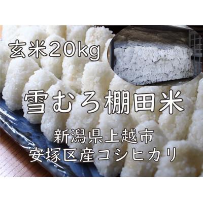 ふるさと納税 上越市 雪むろ棚田米コシヒカリ 20kg 玄米