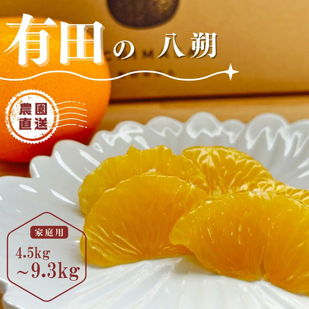【ふるさと納税】【選べる容量】【先行予約】 八朔 4.5kg～9.3kg（箱込み5kg～10kg） 家庭用 サイズ混合 柑橘 フルーツ はっさく 産地直送 お取り寄せ 送料無料 | はっさく 八朔 果物 ハッサク 家庭用 わけあり フルーツ おすすめ お試し 送料無料 産地直送 柑橘 低農薬栽培