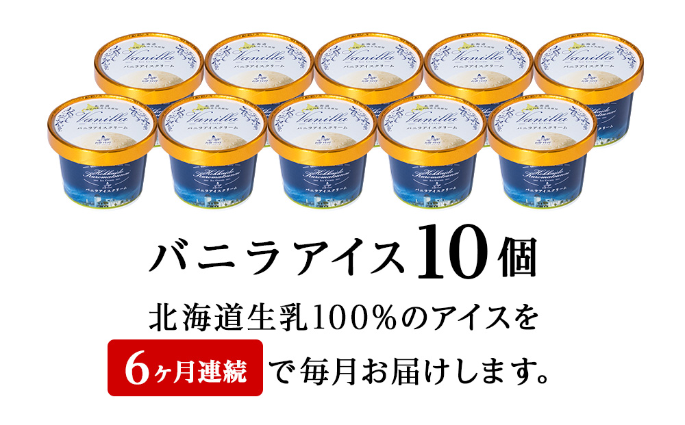 【定期便6ヵ月】トワ・ヴェール の《 バニラアイスクリーム 》 10個 110ml