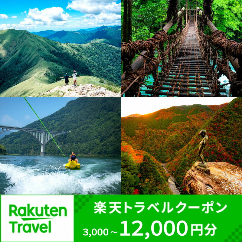 【ふるさと納税】 旅行 徳島 楽天トラベル 宿泊券 ホテル 徳島県 三好市 宿泊 クーポン 祖谷温泉 大歩危 小歩危 祖谷 温泉 旅館 温泉旅館 温泉宿 グルメ アクティビティ ラフティング みよし 観光 徳島旅行 にし阿波 祖谷 秘境 かずら橋 楽天 トラベル 3000円 8000円 12000円
