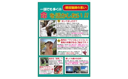 ペットフード 鹿肉ジャーキー3点セット 岐阜県揖斐川町産 雑貨 日用品 餌 エサ 