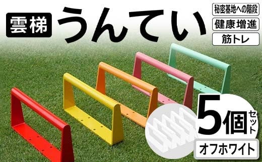 雲梯（うんてい）5個セット ＜オフホワイト＞ 雲梯 ウンテイ 健康 健康増進 ダイエット 筋トレ 屋根裏や秘密基地への階段 F21E-265