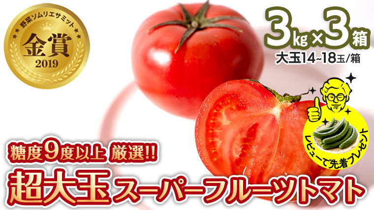 
超大玉 スーパーフルーツトマト 大箱 3kg × 3箱 【14～18玉/1箱】 糖度9度 以上 野菜 フルーツ トマト フルーツ トマト とまと [AF065ci]
