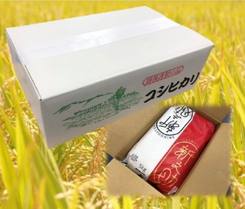 新米 新潟県産 「新之助」 5kg×3か月 出雲崎 令和7年産 定期便 合計15kg | 出雲崎町