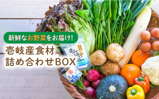壱岐産 食材詰め合わせ 野菜 《壱岐市》【壱岐イルカパーク＆リゾート】[JBF009] 22000 22000円