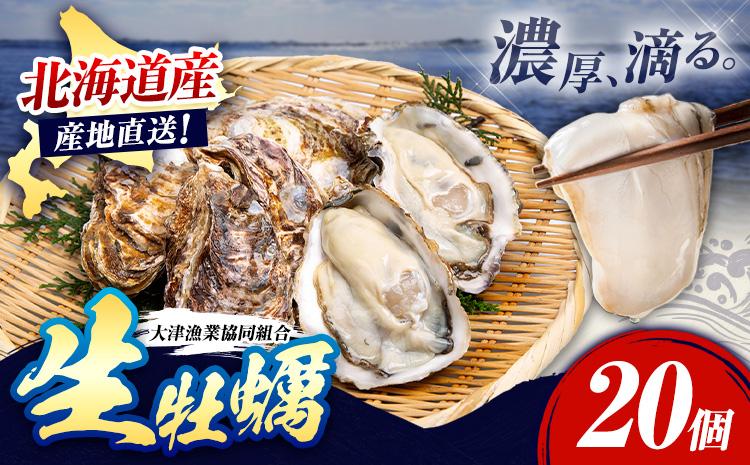 北海道大津産 産地直送 生 牡蠣 20個 大津漁業協同組合《5月中旬-6月下旬頃出荷》北海道 豊頃町 北海道産 生牡蠣 生食用 カキ 牡蠣 かき---toyokoro_ogk_1_20p---
