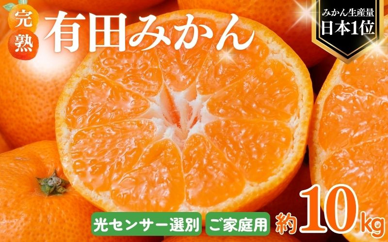 
            ＼光センサー選別／ 農家直送 こだわりの 完熟 有田みかん 約10kg＋250g(傷み補償分) 【ご家庭用】【11月･12月･1月から選択可能】（日付指定不可） 有機質肥料100% 有田みかん みかん ミカン 蜜柑 柑橘 果物 くだもの フルーツ 甘い 温州みかん 先行予約【nuk101E_cho】
          